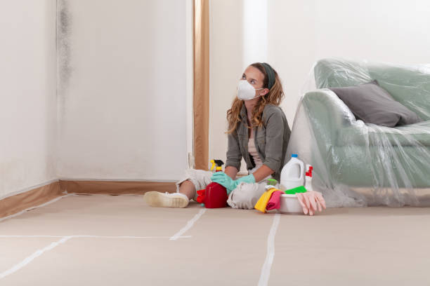 Reliable Mold Remediation contractor in Lorton, VA by Car Mold Remediation